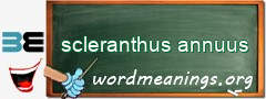 WordMeaning blackboard for scleranthus annuus